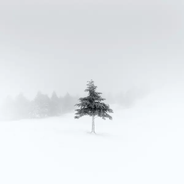 Blanc # I by Lionel Orriols in Photography Digital