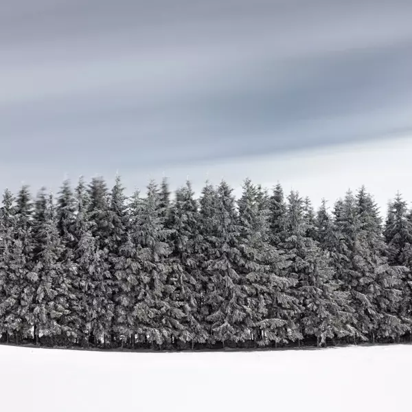 Winter End by Lionel Orriols in Photography Digital
