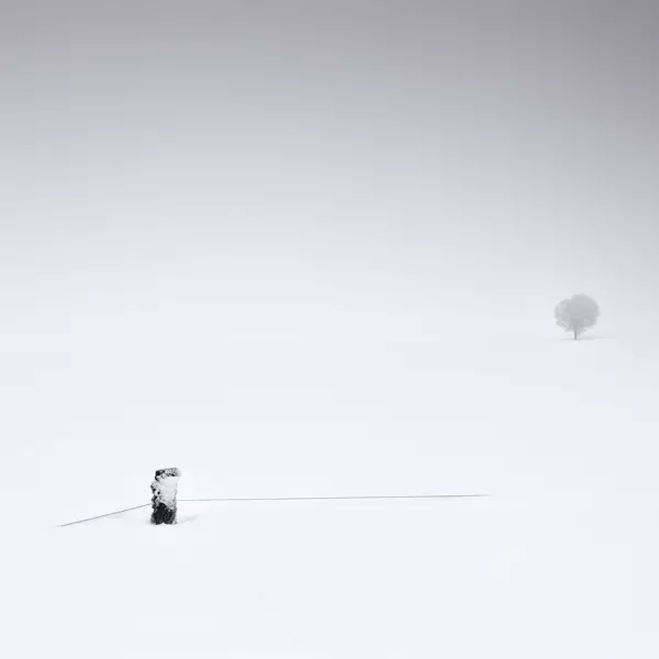Fog # 3 by Lionel Orriols in Photography Digital