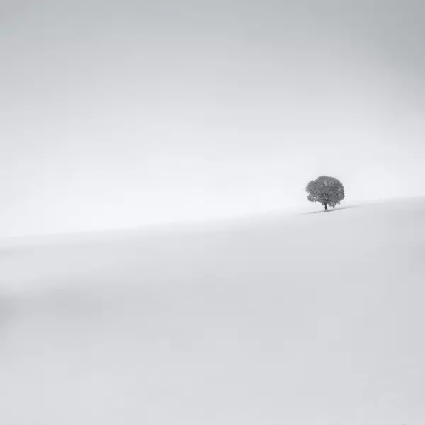 Fog # 5 by Lionel Orriols