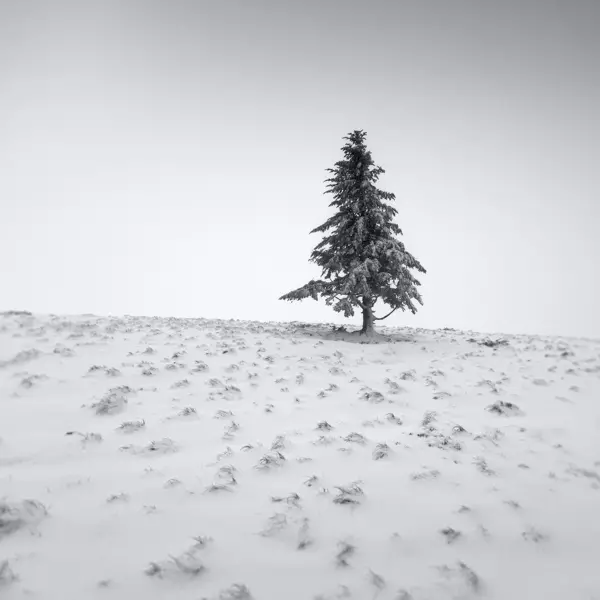Blanc # III by Lionel Orriols in Photography Digital