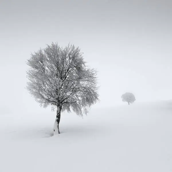 Fog # 8 by Lionel Orriols in Photography Digital