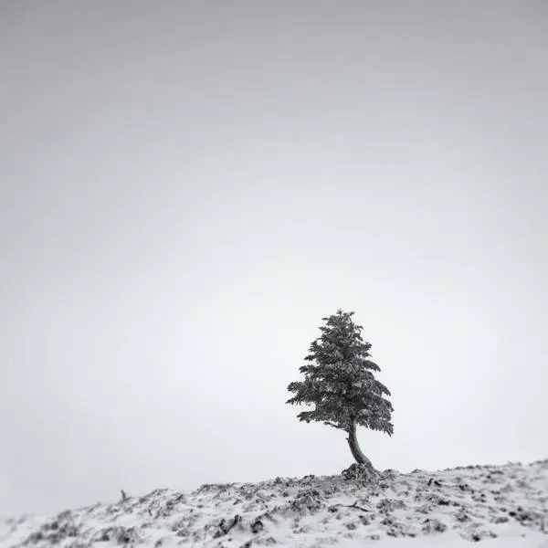 Blanc # II by Lionel Orriols in Photography Digital