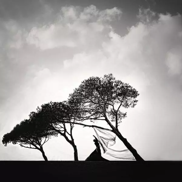 Bringer Of Light by Hale Cokyuruyen in Photography Digital