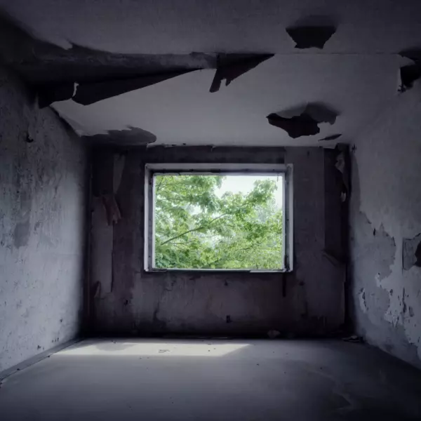 Green View by Ralph Graef in Photography Digital