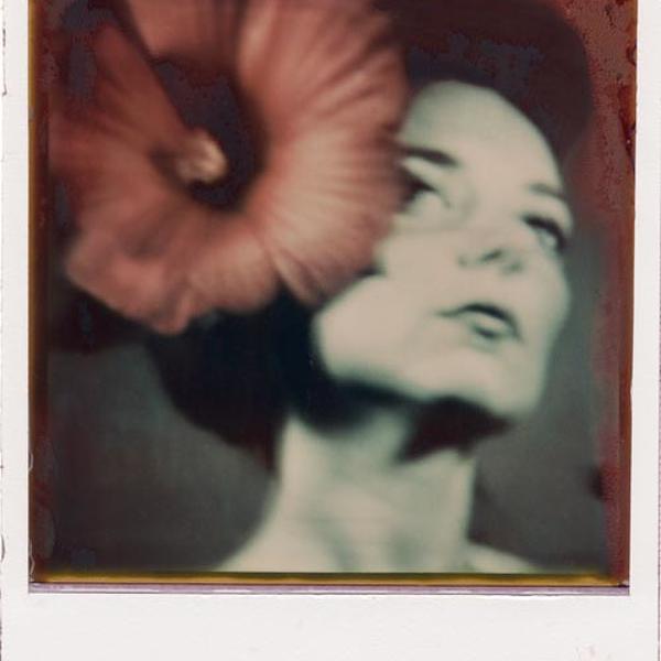 You, Me And The Roses 10