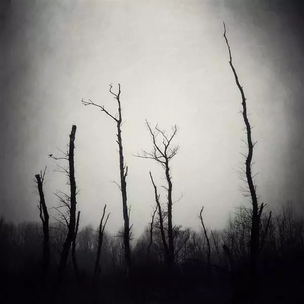 Broken Nature by Ramona G in Photography Digital