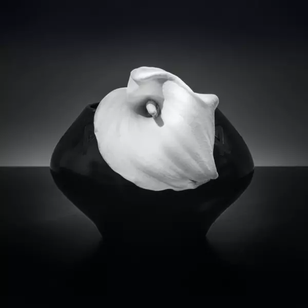 Lily par Wes Pettus dans Photographie Numérique
