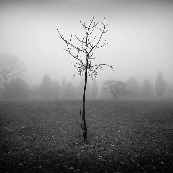 Untitled by Krzysztof Ludwig in Photography Digital