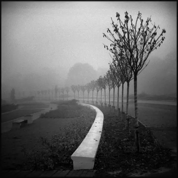 Untitled by Krzysztof Ludwig in Photography film 24x36, 35mm