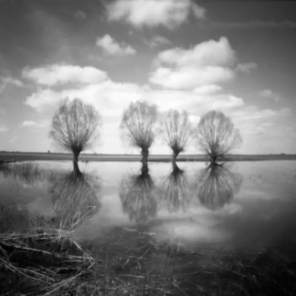 Untitled by Krzysztof Ludwig