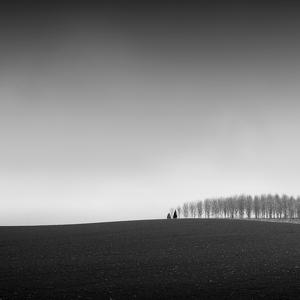 Paysages et arbres 26 artworks