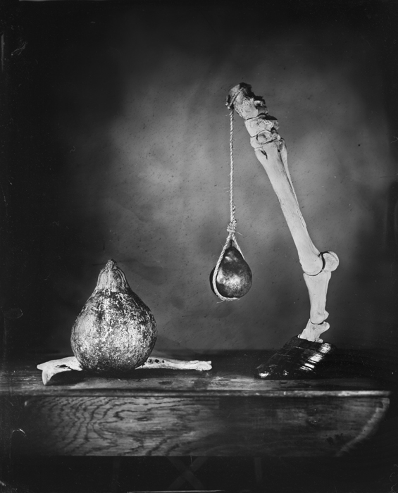 Nature Morte 12 By Jean Baptiste Senegas Photography Large