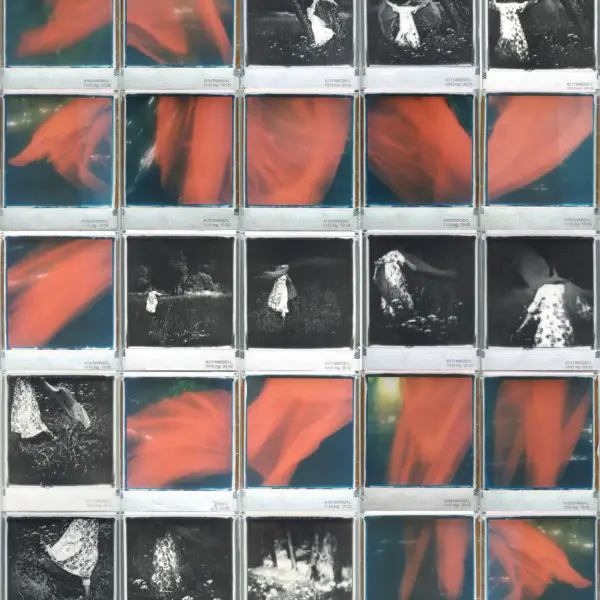 Red movement by Andrea Ehrenreich in Mixed media Mosaic