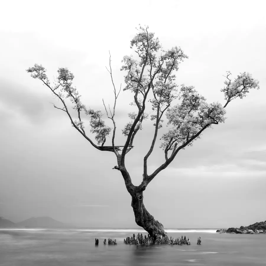 Stand still is a creation by the artist Asep Yusuf Tazul Arifin. Category art work. full spektrum + 850nm + nd filter. 33 views, 10 appreciations.