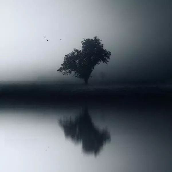 Reflexion by Eric Frey in Photography Montage, retouching