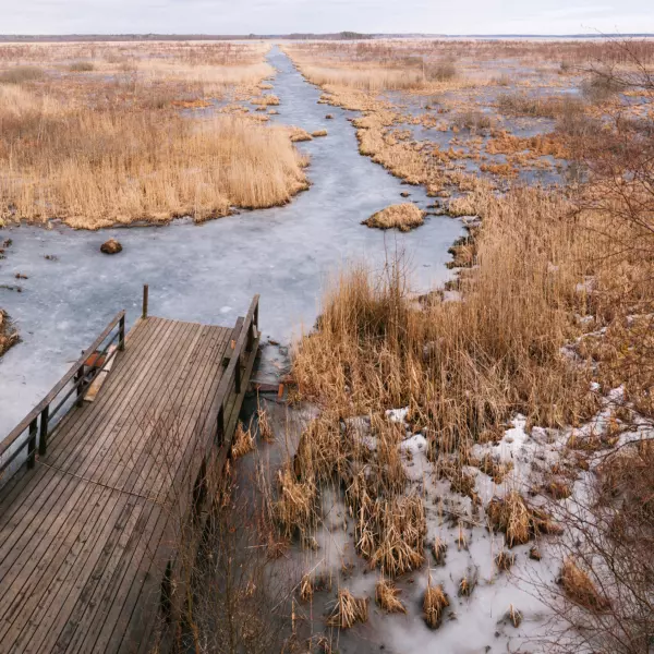 Birds Lake by Nikita Treschalov in Photography Digital