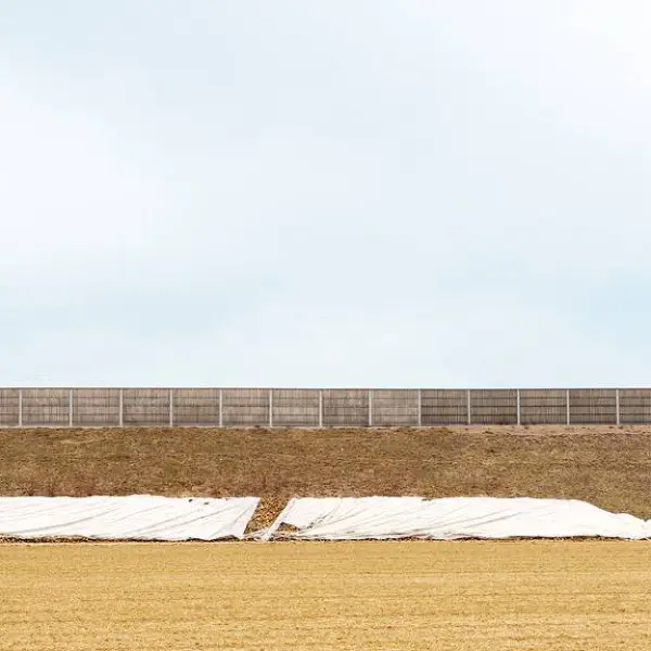 Beets and Noise Barrier by Bernd Walz in Photography Digital