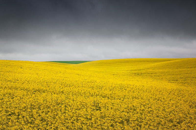 Rural Space Yellow Field With Green Triangle by Bernd Walz, Photography ...