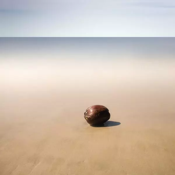 Last Summer Day by Yury Bird in Photography Digital