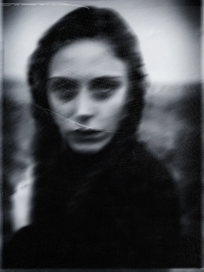 Landscapes is a creation by the artist Antonio Palmerini. Category People, Portrait, Female, Visual poetry, Digital art, Manipulation. 3 distinctions, 922 views, 70 appreciations, 6 comments, 10 favourites.