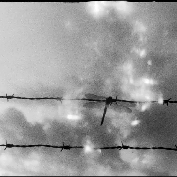 Rosvalla #1 by Tommy Ingberg in Photography film 24x36, 35mm