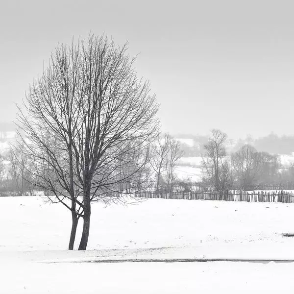 Together (Wintertale in Romania) par Alexandru Crisan dans Photographie