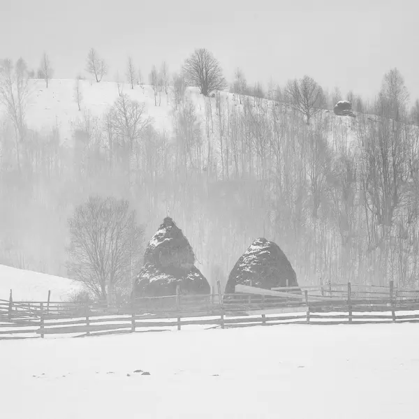 Border stone par Alexandru Crisan dans Photographie