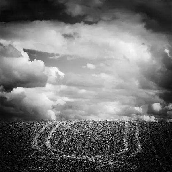 Traces by Damir Klaic
