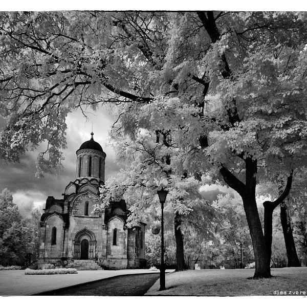 Infrared Landscape #9993 by Dima Zverev