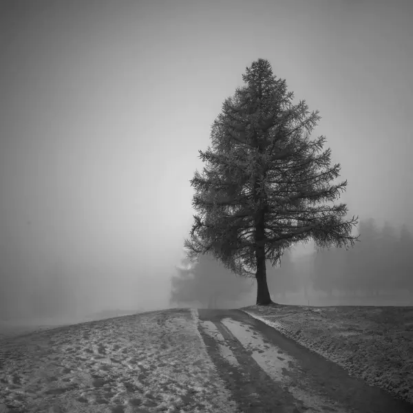 Winter on its way -7 by Véronique VS in Photography Digital