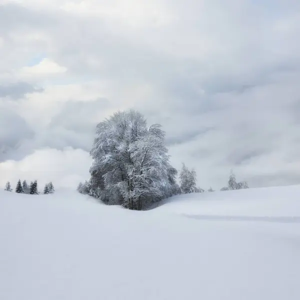 Bleus d'hiver by Véronique VS in Photography Digital