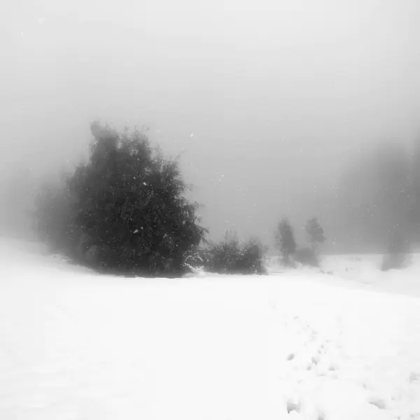 Let it snow, let it snow... by Véronique VS in Photography Digital