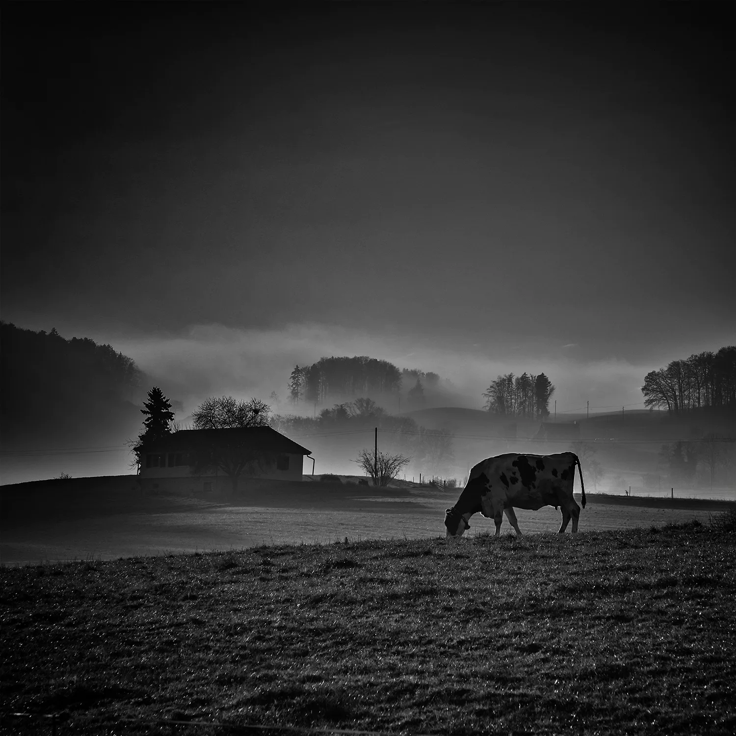 Au fil des routes -3 est une création de l'artiste Véronique VS. Catégorie Nature, Paysage, Photographie, Numérique. 2 distinctions, 314 vues, 40 appréciations, 2 favoris.