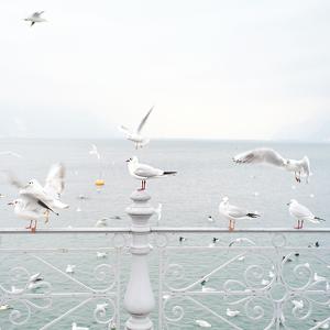 lac Léman 85 artworks