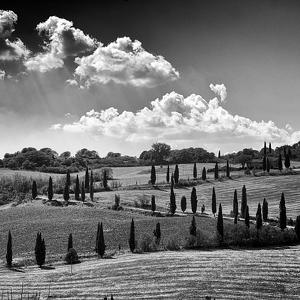 Landscape 80 artworks