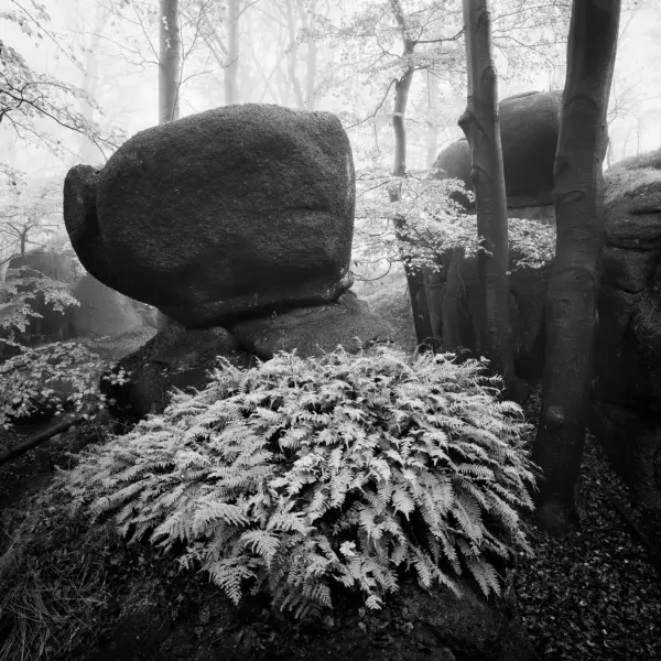Granite Garden by Martin Rak in Photography Digital