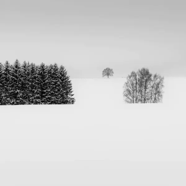 Elements by Martin Rak in Photography Digital