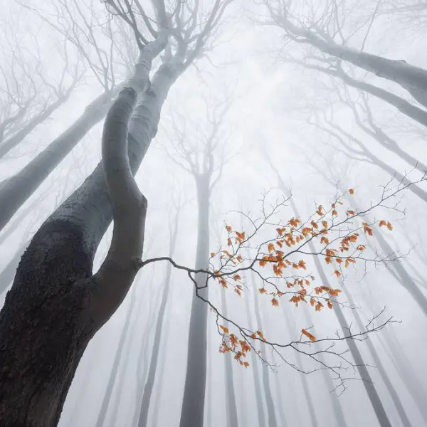 Twisted by Martin Rak in Photography Digital