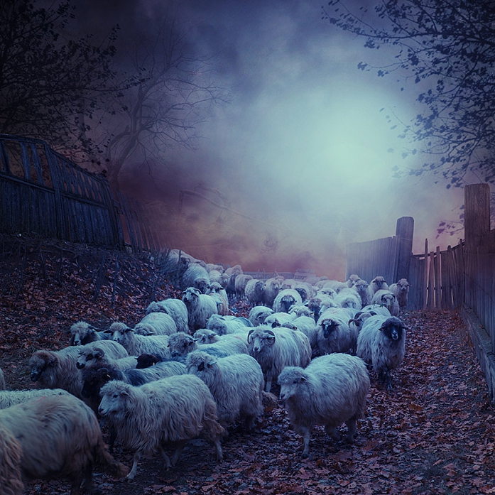 Backyard Ghost by Caras Ionut, art work | Art Limited