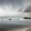 Zen 8,765 artworks