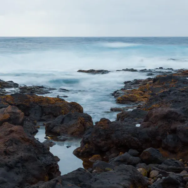 Punta del Hidalgo by Maria Frodl in Photography Digital