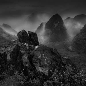 Project: "Rice&Icon of Vietnam" 29 artworks