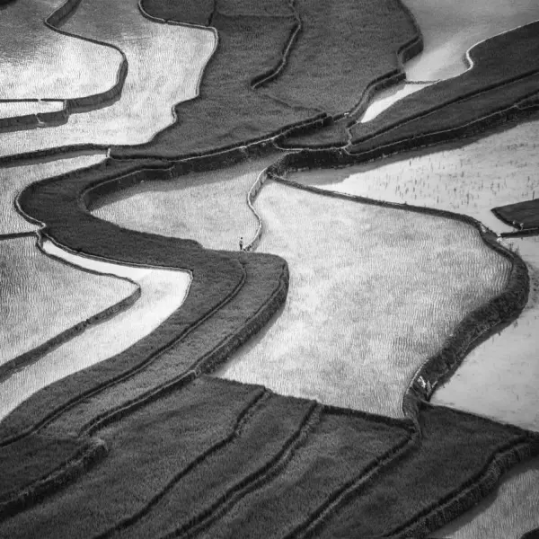 Project-Rice and Icon of Vietnam by Siarhei Mikhaliuk in Photography