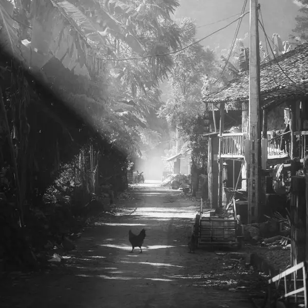 Project-Rice and Icon of Vietnam by Siarhei Mikhaliuk in Photography