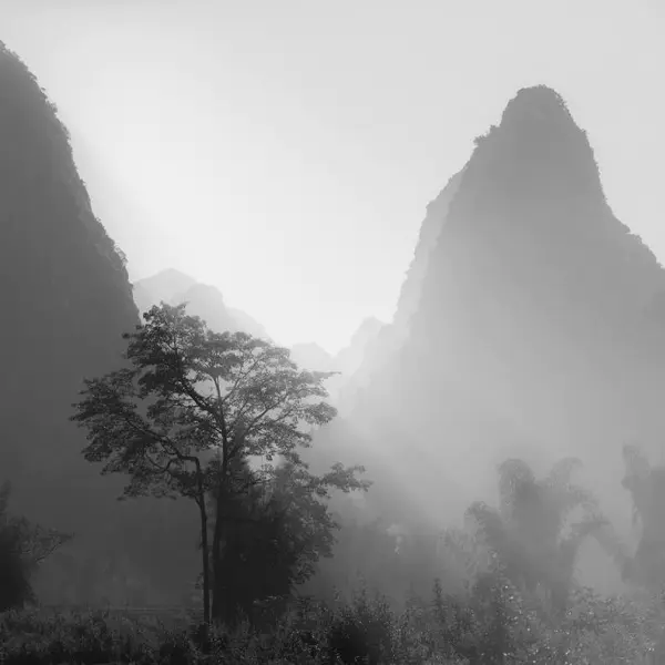 Project-Rice and Icon of Vietnam by Siarhei Mikhaliuk in Photography