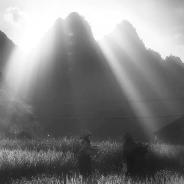 Project-Rice and Icon of Vietnam by Siarhei Mikhaliuk in Photography
