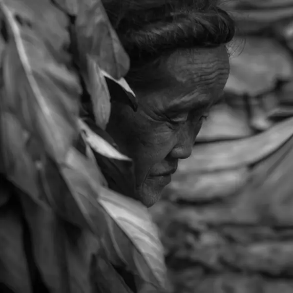Untitled by Siarhei Mikhaliuk in Photography