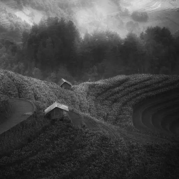 Untitled by Siarhei Mikhaliuk in Photography