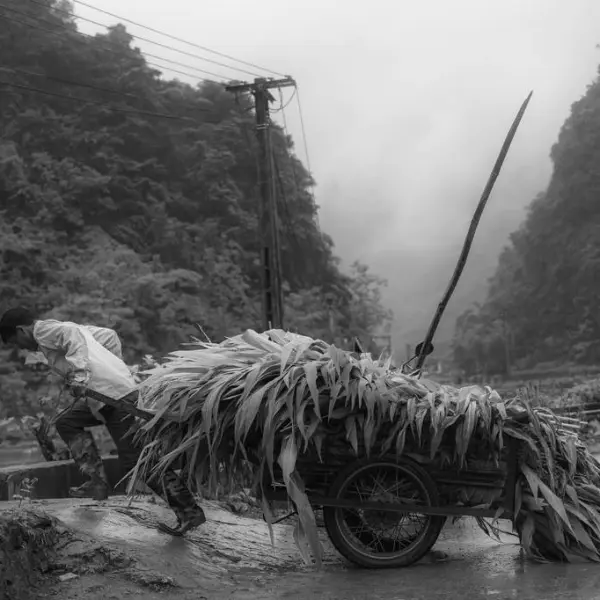 Untitled by Siarhei Mikhaliuk in Photography